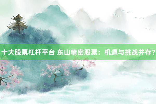 十大股票杠杆平台 东山精密股票：机遇与挑战并存？