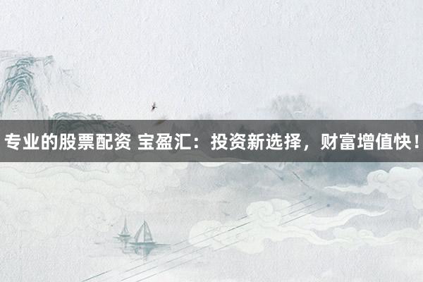 专业的股票配资 宝盈汇：投资新选择，财富增值快！