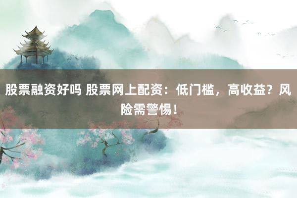 股票融资好吗 股票网上配资：低门槛，高收益？风险需警惕！