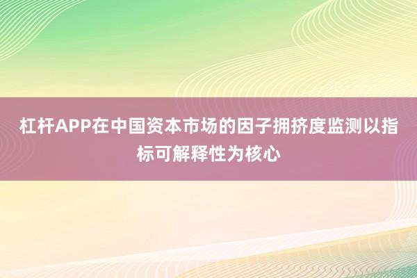 杠杆APP在中国资本市场的因子拥挤度监测以指标可解释性为核心