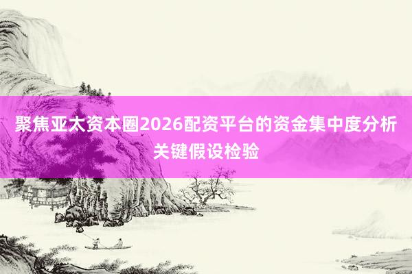 聚焦亚太资本圈2026配资平台的资金集中度分析关键假设检验