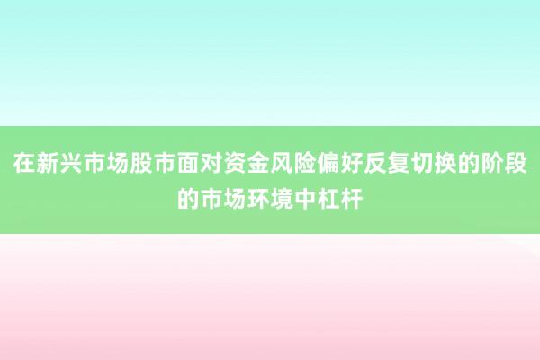 在新兴市场股市面对资金风险偏好反复切换的阶段的市场环境中杠杆