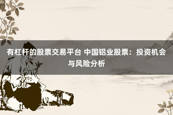 有杠杆的股票交易平台 中国铝业股票：投资机会与风险分析