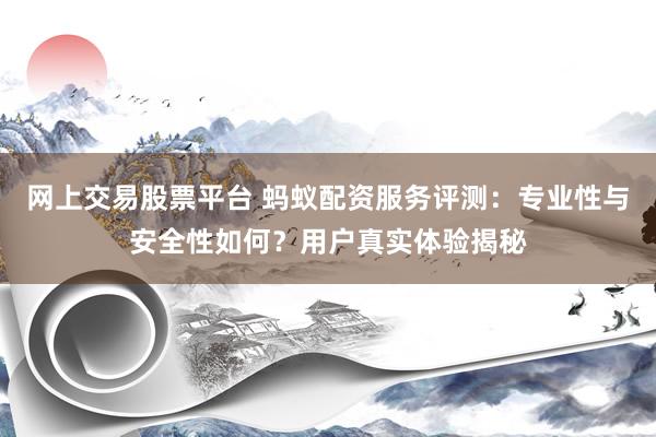 网上交易股票平台 蚂蚁配资服务评测：专业性与安全性如何？用户真实体验揭秘
