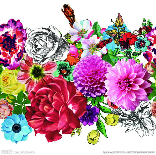 手绘花卉定位图片