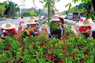 最新 广州地铁线网示意图已添加9号线 沿线路面加紧修复中 现场看看